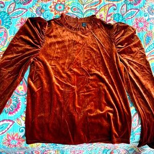 Velvet long sleeve top with gigot details